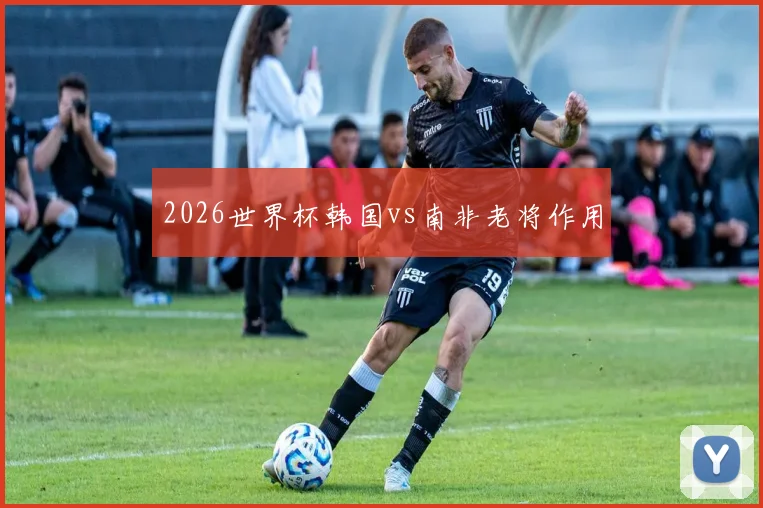 2026世界杯韩国vs南非老将作用
