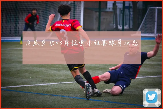 厄瓜多尔vs库拉索小组赛球员状态