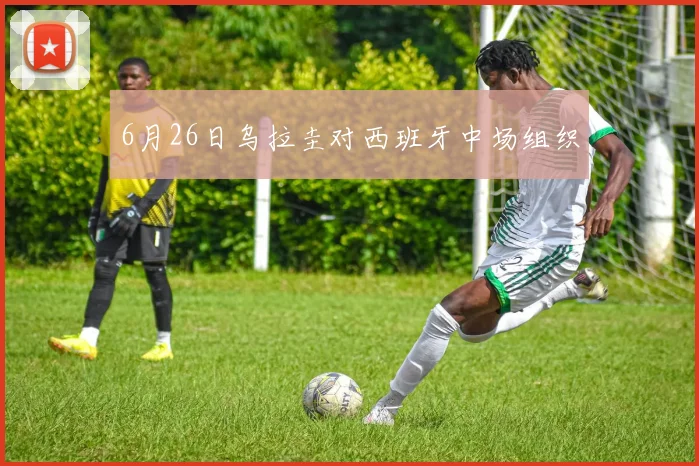 6月26日乌拉圭对西班牙中场组织