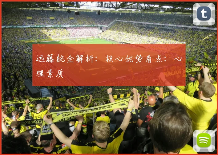 远藤航全解析：核心优势看点：心理素质