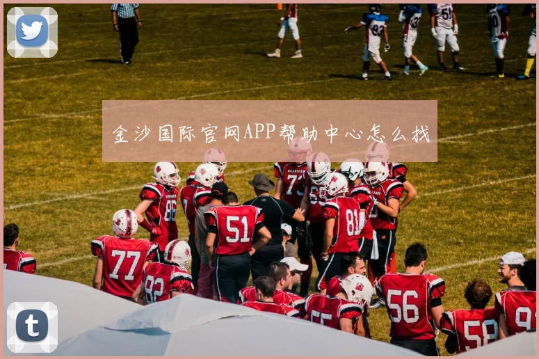金沙国际官网APP帮助中心怎么找