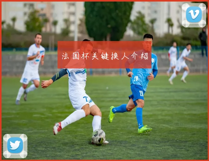 法国杯关键换人介绍