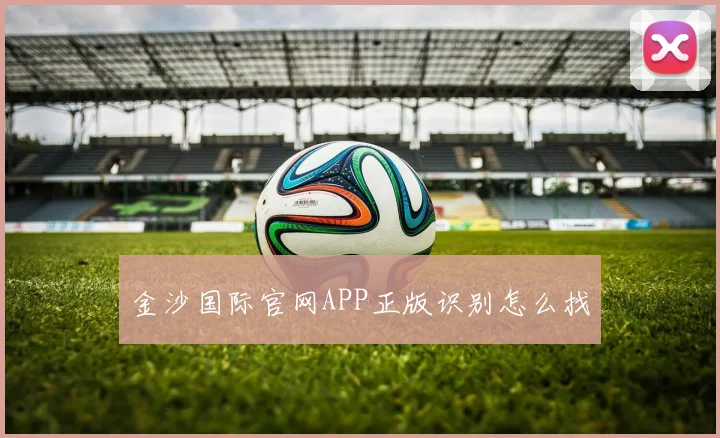 金沙国际官网APP正版识别怎么找