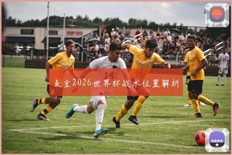麦金2026世界杯战术位置解析