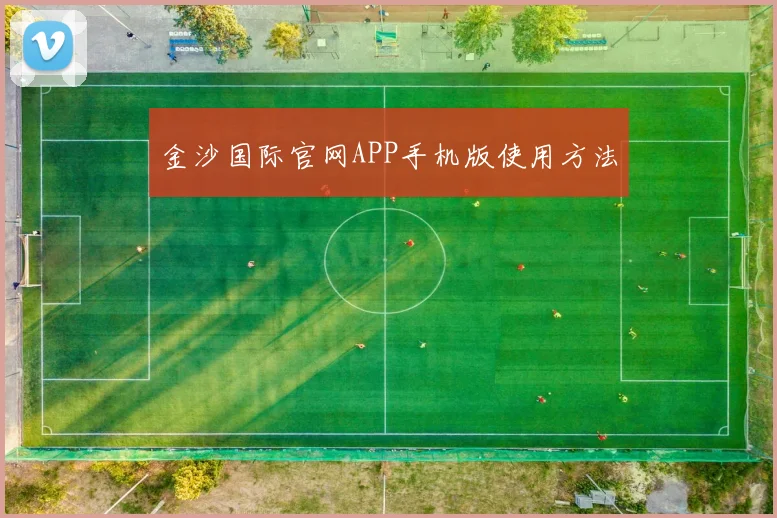 金沙国际官网APP手机版使用方法
